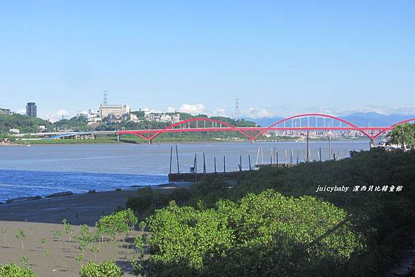 淡水八里左岸