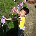 2014蘆竹花彩節