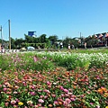 2014蘆竹花彩節