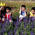 2014蘆竹花彩節