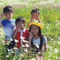2014蘆竹花彩節