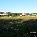 2014蘆竹花彩節