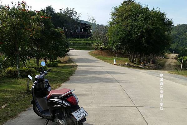 華欣/Hua Hin Hills Vineyard