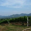 華欣/Hua Hin Hills Vineyard