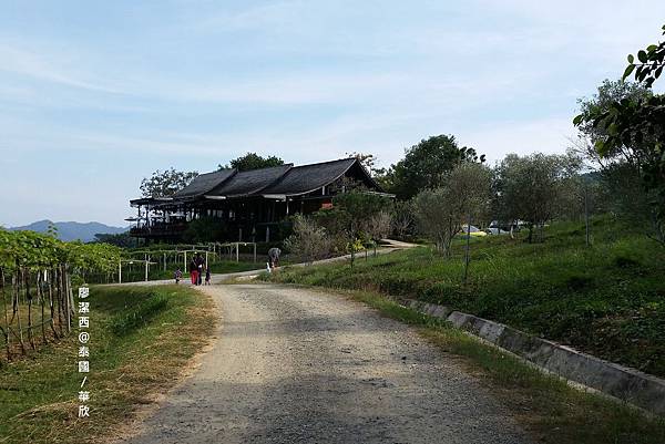 華欣/Hua Hin Hills Vineyard