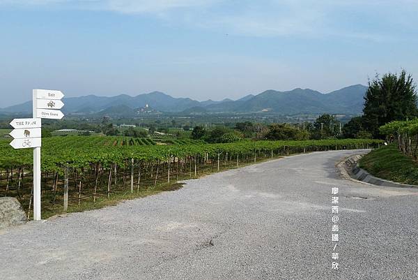 華欣/Hua Hin Hills Vineyard