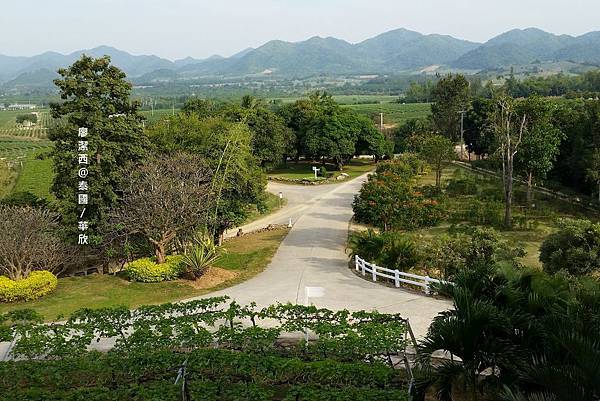 華欣/Hua Hin Hills Vineyard