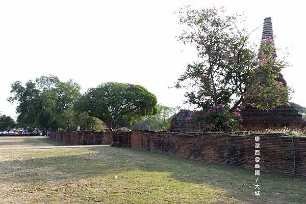 泰國/Ayutthaya