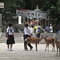 日本/奈良