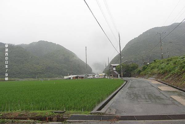 京都/嵐山嵯峨野