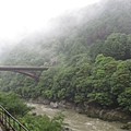 京都/嵐山嵯峨野