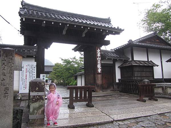 京都/嵐山嵯峨野