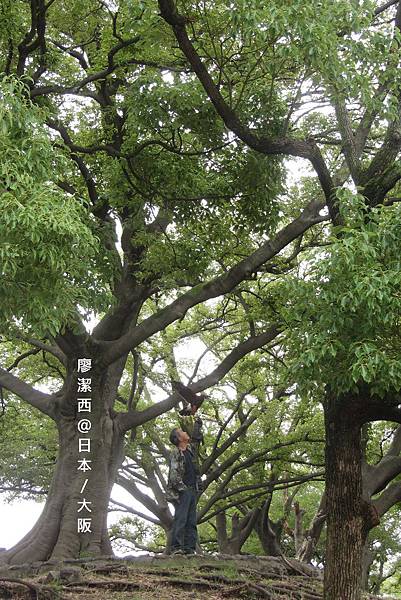 大阪/大阪城公園