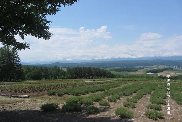 北海道/麓鄉展望台