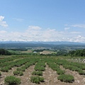 北海道/麓鄉展望台