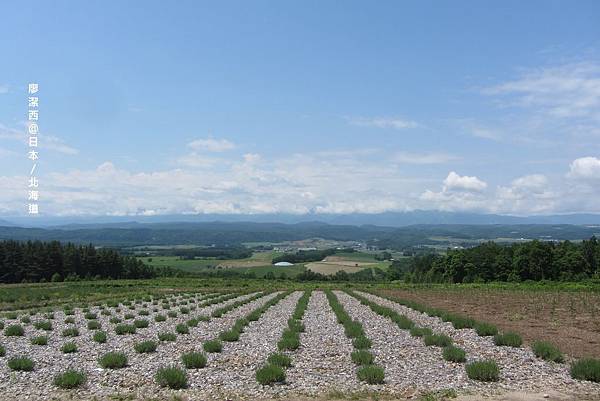 北海道/麓鄉展望台
