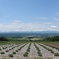 北海道/麓鄉展望台