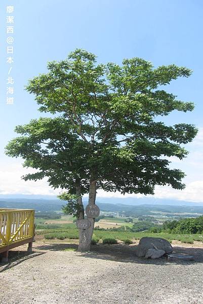 北海道/麓鄉展望台