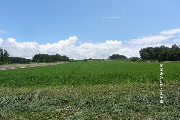 北海道/麓鄉展望台