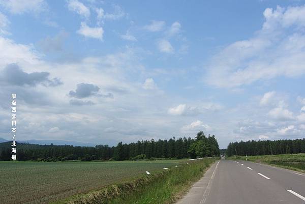 北海道/富良野