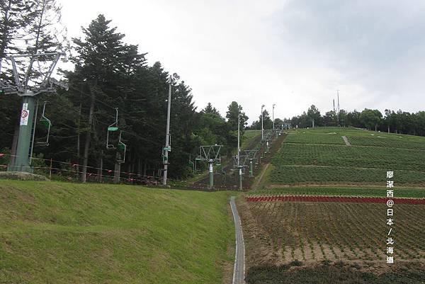 北海道/富良野