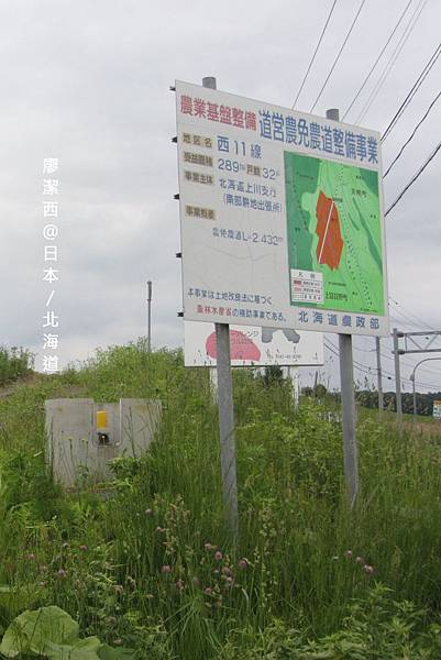 北海道/富良野雲霄飛車之路