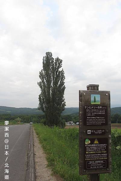 北海道/富良野