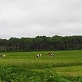 北海道/往稚內的道路