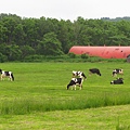 北海道/往稚內的道路