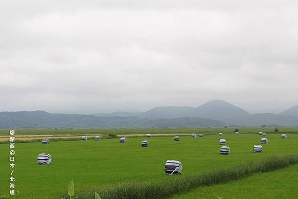 北海道/往稚內的道路