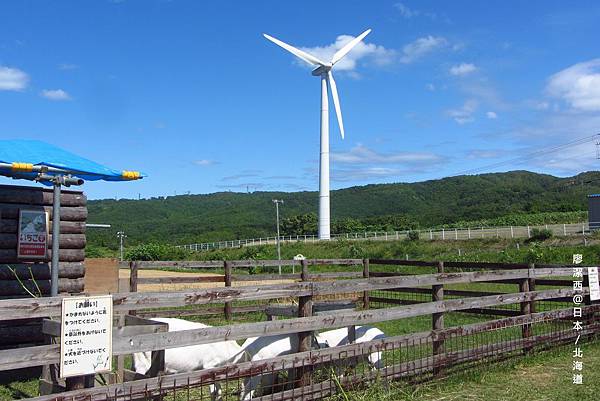 北海道/留萌禮受牧場