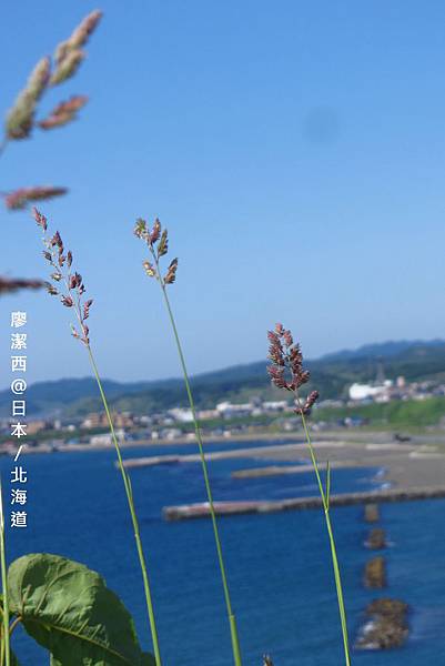 北海道/留萌禮受牧場