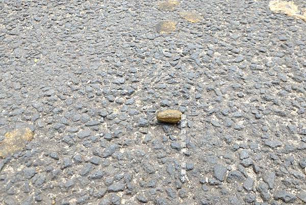 澳洲/大洋路週邊風景