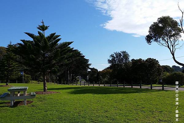 澳洲/VIC摩寧頓半島