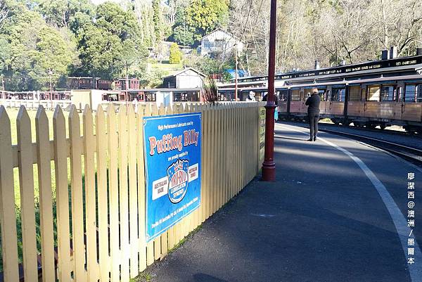 墨爾本/Puffing Billy