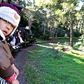 墨爾本/Puffing Billy