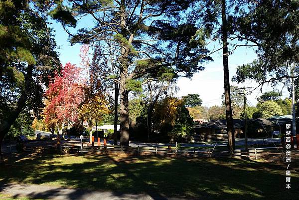 墨爾本/Puffing Billy