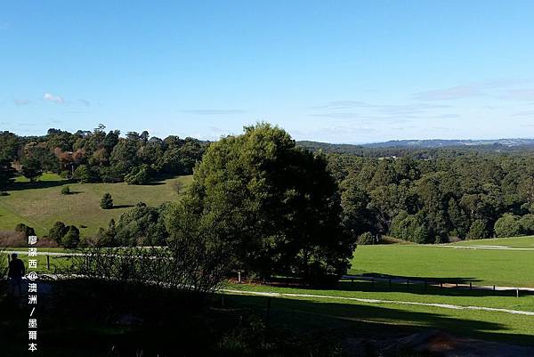 墨爾本/Puffing Billy