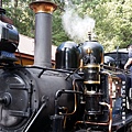 墨爾本/Puffing Billy