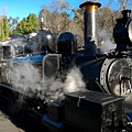 墨爾本/Puffing Billy