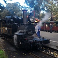 墨爾本/Puffing Billy