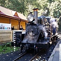 墨爾本/Puffing Billy