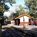 墨爾本/Puffing Billy