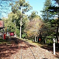 墨爾本/Puffing Billy