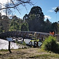 墨爾本/Puffing Billy