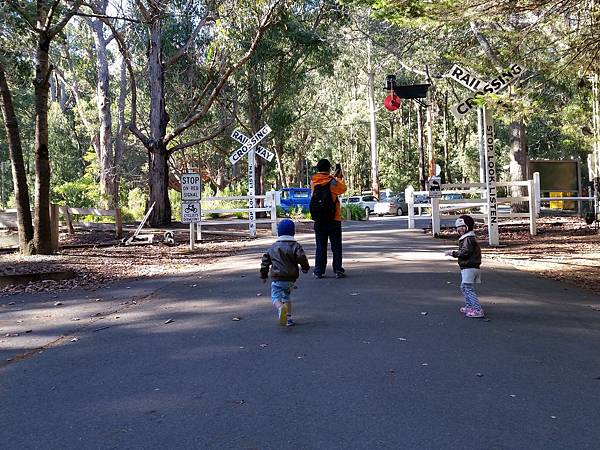 墨爾本/Puffing Billy