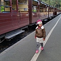 墨爾本/Puffing Billy