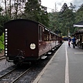 墨爾本/Puffing Billy