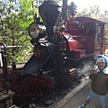 墨爾本/Puffing Billy