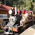 墨爾本/Puffing Billy